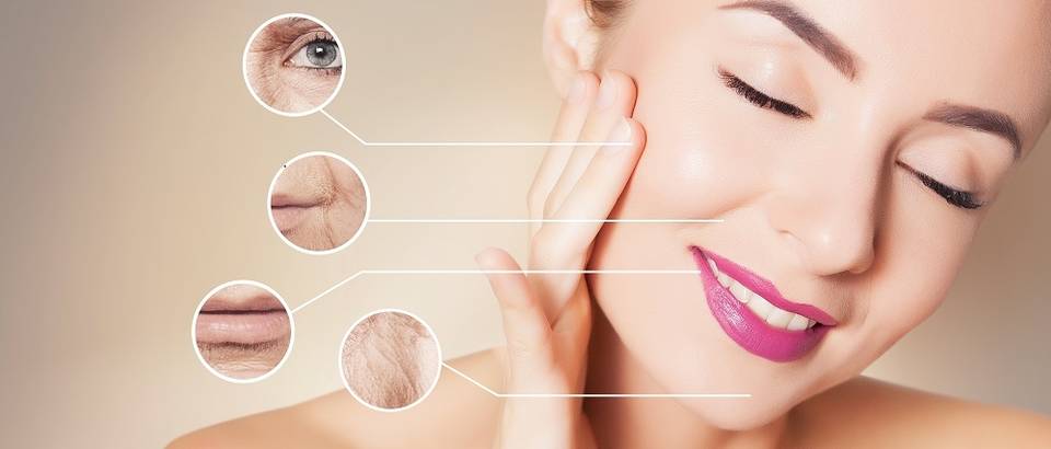 koza, Shutterstock 530190658