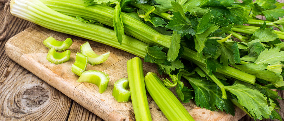Shutterstock 601032998