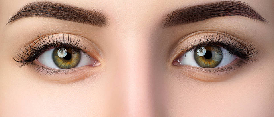 obrve, Shutterstock 749549524