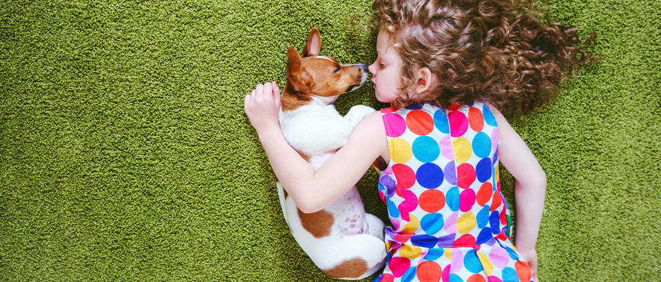 pas, Shutterstock 451309687