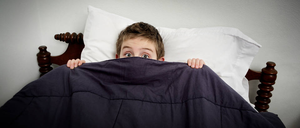 Snovi dijete strah shutterstock 123868771