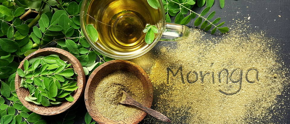 Moringa shutterstock