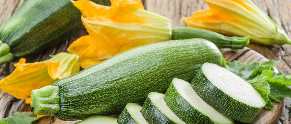 tivkica. Shutterstock 456081355