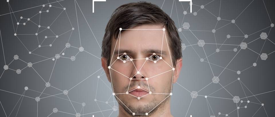 lice, Shutterstock 674466127
