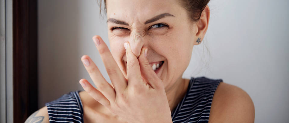 Shutterstock 370032968