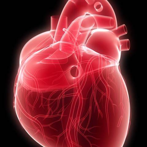 što je visoki krvni tlak lijeve klijetke srca)
