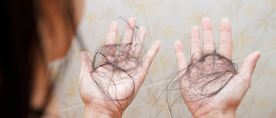 Shutterstock 1068513638