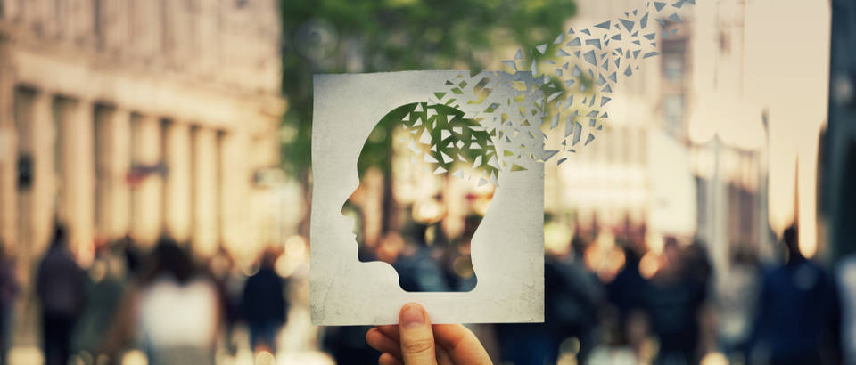 mozak, Shutterstock 1221758086