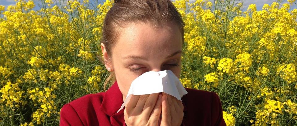 Allergy naslovna