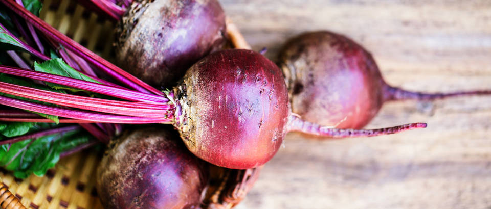 Cikla shutterstock 314742440