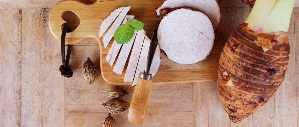 taro Shutterstock 717454741 (1)