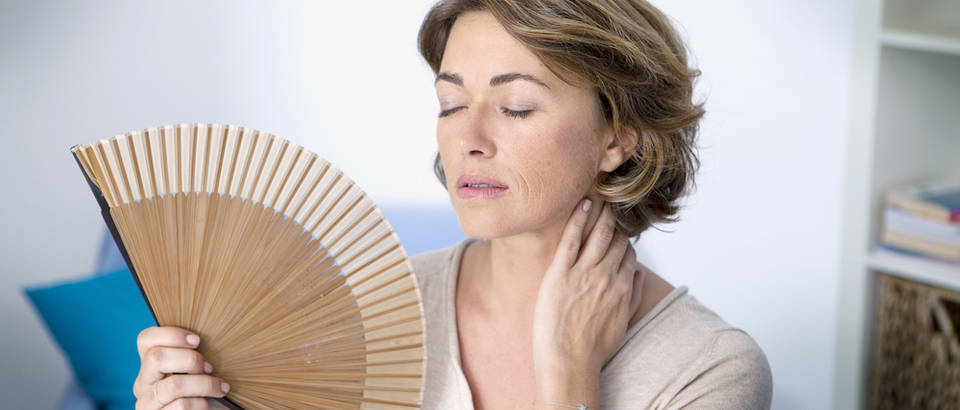 Image result for menopauza