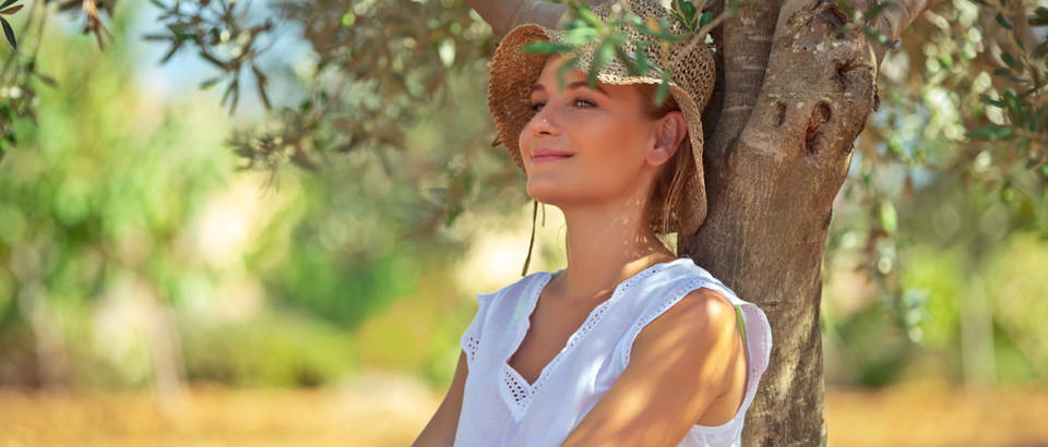 sunce