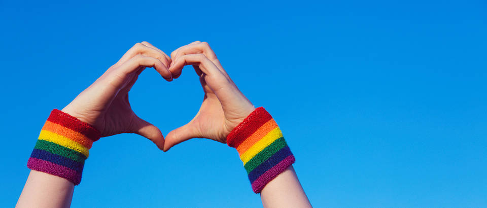 homoseksualnost