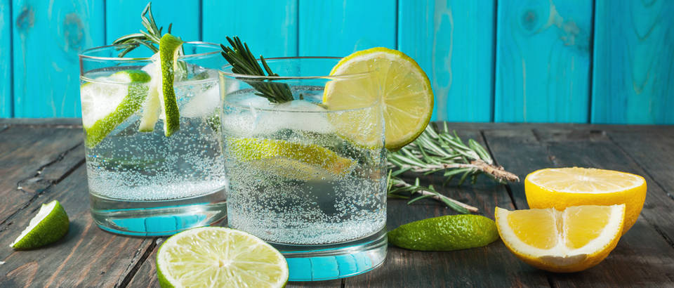 Shutterstock 591566654gin