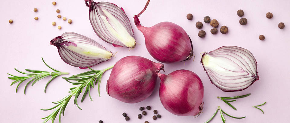Shutterstock 587296193
