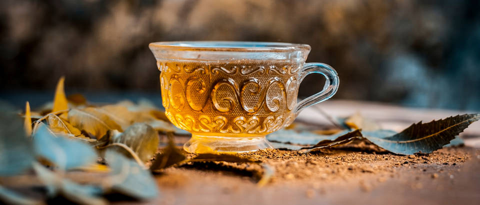 Shutterstock 1026814372