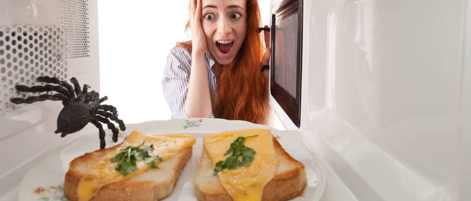 pauuk, Shutterstock 92908114