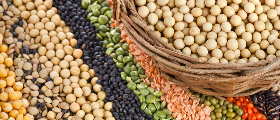 10 Najboljih Izvora Biljnih Proteina Ordinacija Hr