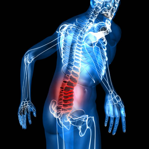 bol u donjem dijelu leđa i zglobovima nogu