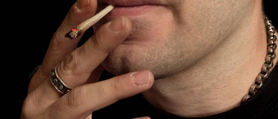 trava, marihuana, kanabis