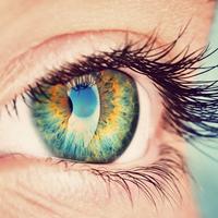 Shutterstock 280433198 zelene oči vid oko