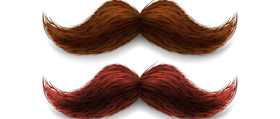 Brkovi, Movember, Shutterstock 285465257