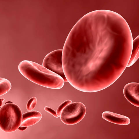 Krvne stanice