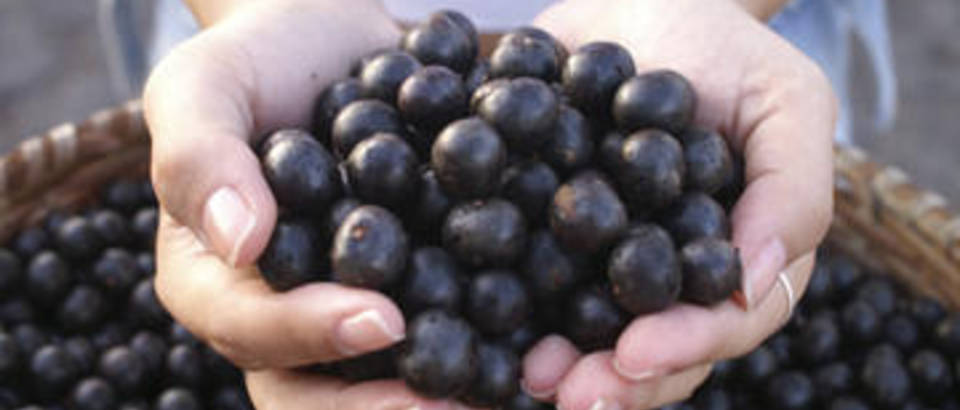 Acai