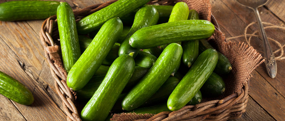 6 razloga zašto je dobro jesti krastavce - Ordinacija.hr