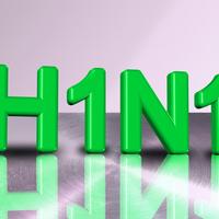 svinjska-gripa-h1n1-1