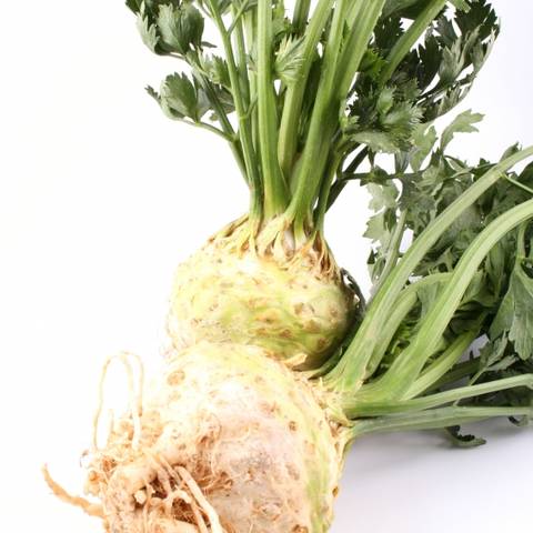Kako koristiti celer u hipertenziji. Sok od celera snižava visoki krvni tlak - imcites.com