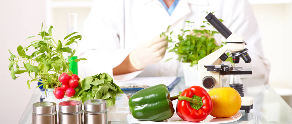gmo hrana