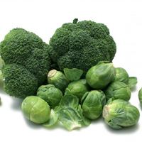 prokulica brokula