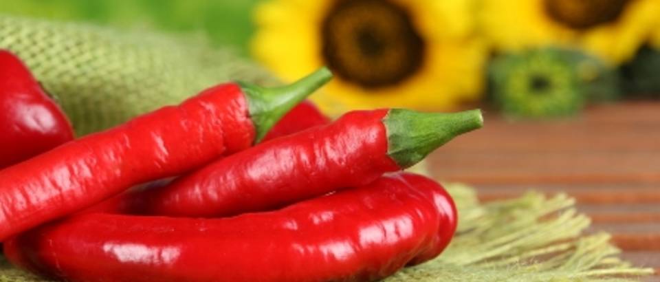 cili paprika papricica
