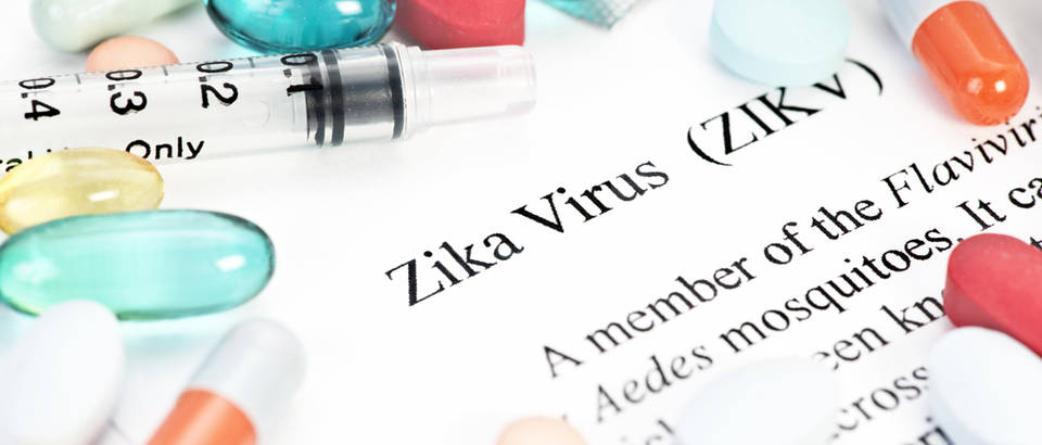 Virus zika virus shutterstock 365761202