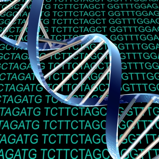 Va&scaron; DNK zna &scaron;to trebate jesti: sve &scaron;to morate znati o nutrigenetičkom testiranju