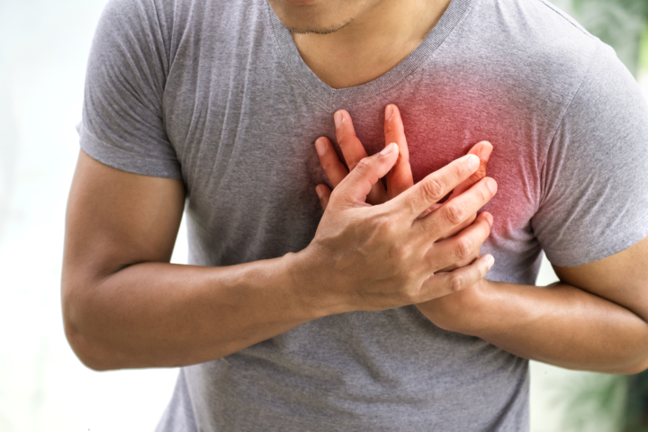 MSM može zaštititi srčane stanice od upalnog odgovora